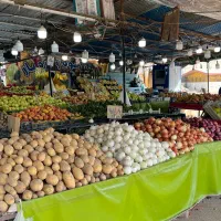 یک نفر کارگر ساده میوه فروشی