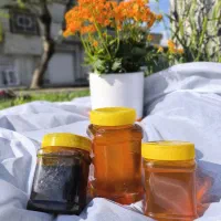 عسل آویشن ضد سرما خوردگی