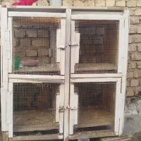 قفس کبوتر
