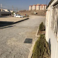 راننده بیل میکانیکی