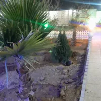 بنا... صفرتا صد|خدمات پیشه و مهارت|خمینی‌شهر, |دیوار