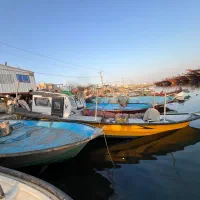 قایق قماره دار با موتور ۱۱۵