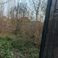 زمین-مسکونی