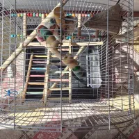 قفس پرنده|لوازم جانبی حیوانات|فردیس, نگارستان|دیوار