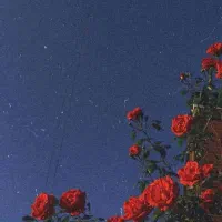 فقط با ثبت نام 100 تومن بگیر