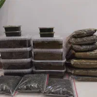 محصولات ارگانیک شمال استان گیلان سیاهکل|خوردنی و آشامیدنی|سیاهکل, |دیوار