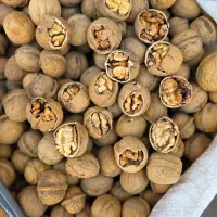 گردو لوکس تویسرکان