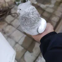 ماده سینه سوسنی