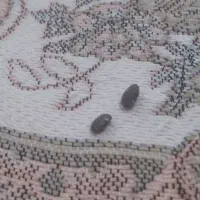 مهره