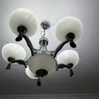 لوستر پذیرایی