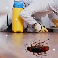 سمپاشی منزل سوسک، ساس ،موش، مورچه سم پاشی حشرات