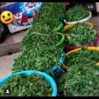 واگذاری سبزی خردکنی ۱۵ سال سابقه