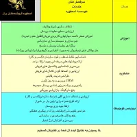 بیزینس کوچ و مدرس فروش