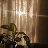 سند خونه برای بدهکار مالی