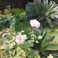 ویلا دوبلکس