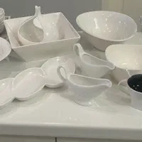 ظروف پذیرایی