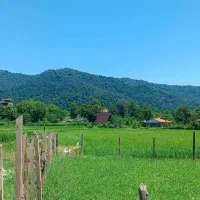 زمین-250-متری-مسکونی-وشمه-سرا