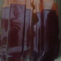 طلقه عقب کارینا و قاب چراغ کرونا جلو پنجره نو|قطعات یدکی و لوازم جانبی|تهران, حکیمیه|دیوار