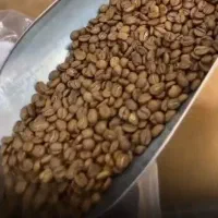 پخش قهوه نوید