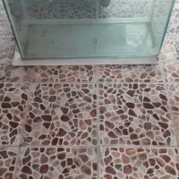 آکولریوم|ماهی|آبادان, |دیوار