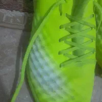 کفش سالن|کیف، کفش، کمربند|نیشابور, بنیاد شهید|دیوار