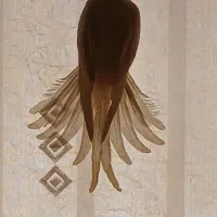 عروس هلندی|پرنده|پاکدشت, شهرک امام رضا|دیوار