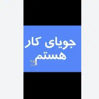 کارگر ماهر در همه زمینه ها