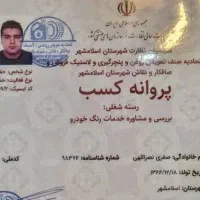 کارشناسی رنگ و فنی آپشن کارکرد مهندس فرزاد نصرالهی
