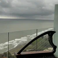 آموزش چنگ (هارپ) در کرج