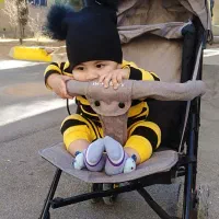 کالسکه عصایی