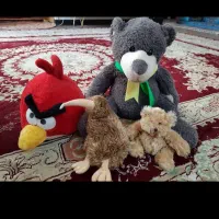 عروسک پولیشی