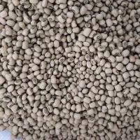 لوبیام چشم بلبلی و ترکمنی(گندمی)|خوردنی و آشامیدنی|فراغی, |دیوار