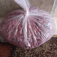 بزر آفتاب گردان G1