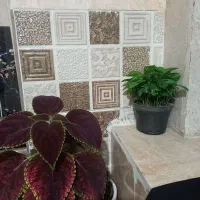سرامیک ده متر