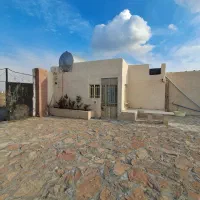 ۵۰۰ زمین در ناظریه