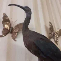 مجسمه پرنده|مجسمه، تندیس، ماکت|تهران, افسریه جنوبی|دیوار