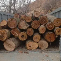 خریداره همه نوع چوب