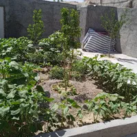 خانه ویلایی در روستای امیرآباد|فروش خانه و ویلا|چناران, |دیوار