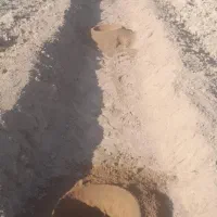 چاله کنی برای کاشت نهال|خدمات باغبانی و درختکاری|خسروشاه, |دیوار