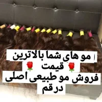 مو طبیعی بزرگترین مرکز شعبه فروش مو