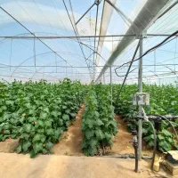 گلخانه فعال با اقامتگاه،امکانات کامل نزدیک پایتخت