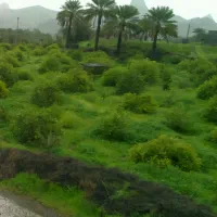 باغ 1.5 هکتار برنطین رودان