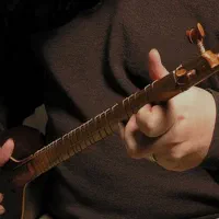 آموزش تضمینی سه تار در شش ماه