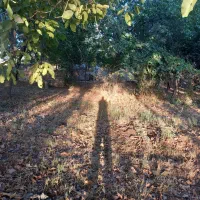 باغ-ویلا-در-دماوند