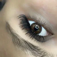 مدل اکستنشن