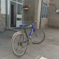 دوچرخه|دوچرخه، اسکیت، اسکوتر|نقده, |دیوار