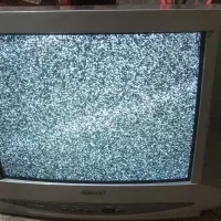 تلوزیون