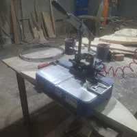 دم چلچله در حد نو