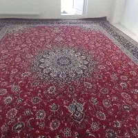 فرش ۱۲ متری|فرش|اردبیل, |دیوار