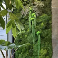 دیوار سبز خزه ای(موس وال)